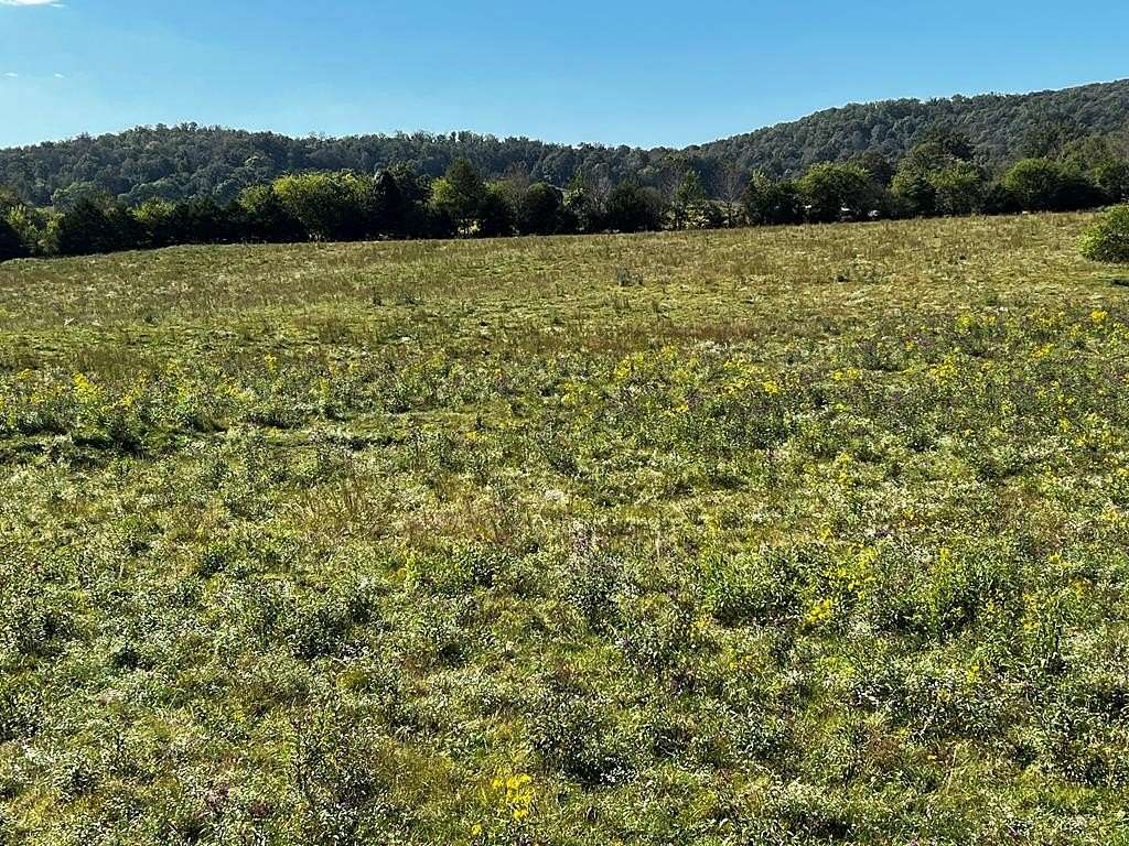 17.1 Acres of Land for Sale in Sparta, Tennessee