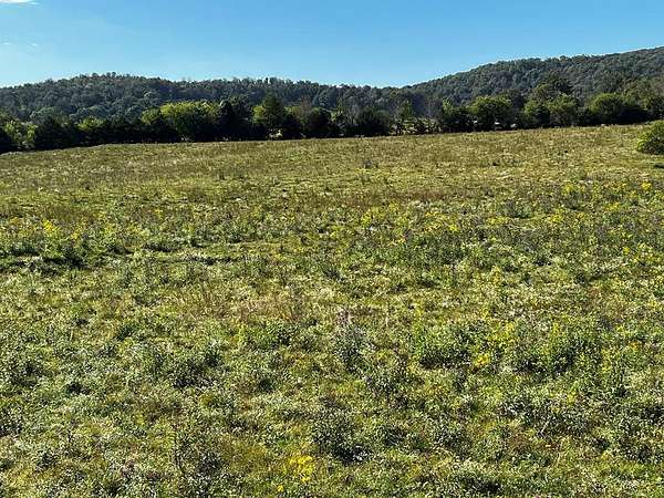 17.1 Acres of Land for Sale in Sparta, Tennessee