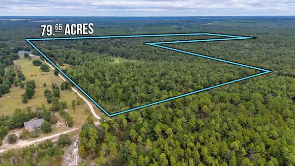 79.7 Acres of Recreational Land for Sale in Laurel Hill, Florida