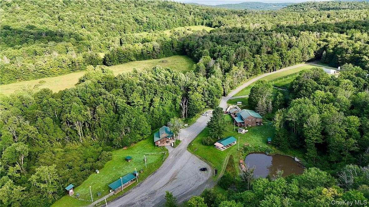 301 Acres of Improved Land for Sale in Long Eddy, New York