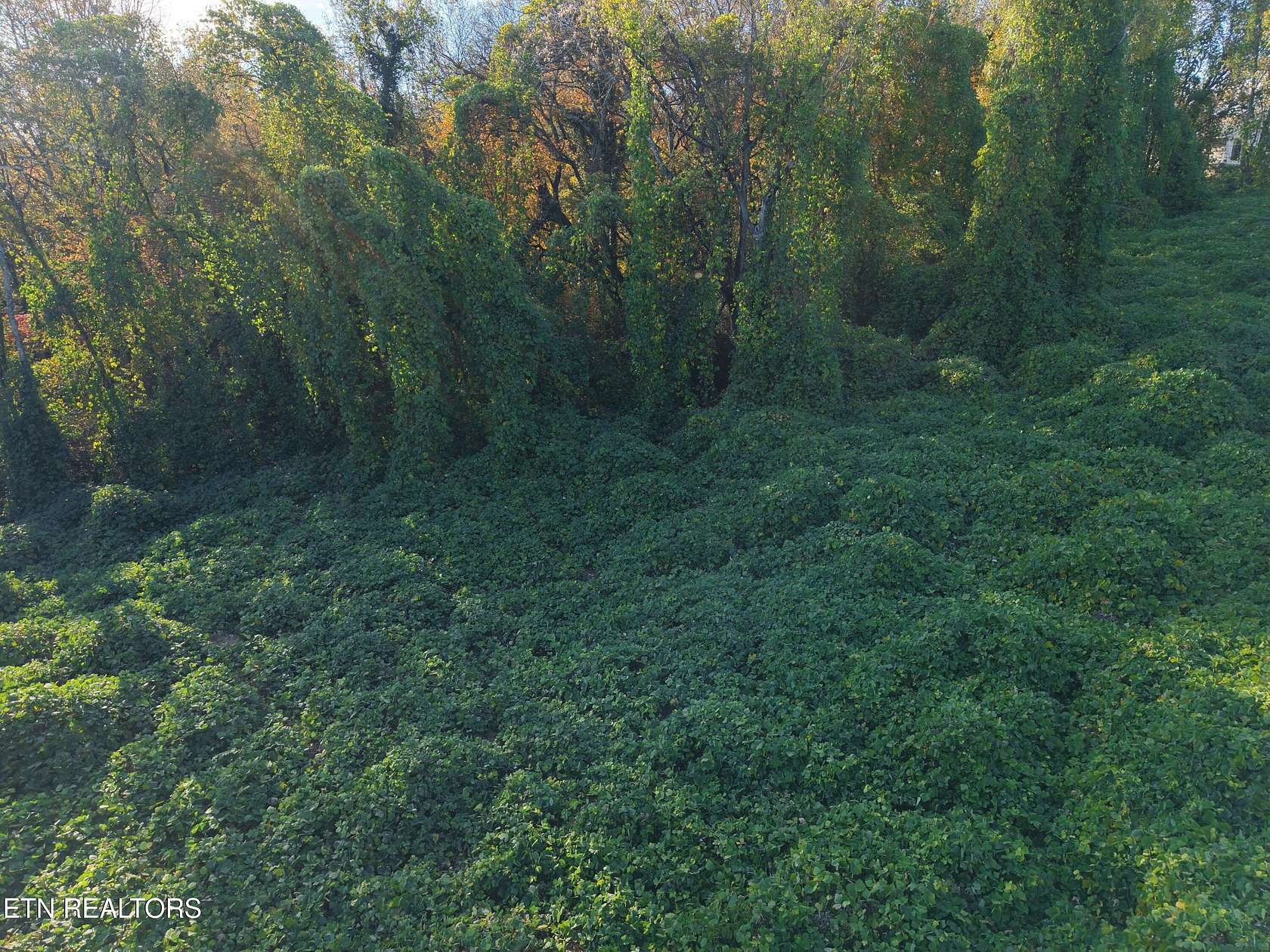 0.59 Acres of Mixed-Use Land for Sale in Knoxville, Tennessee