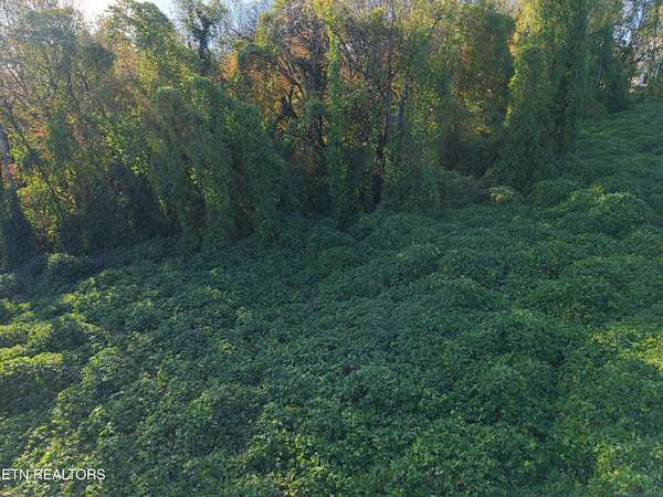 0.59 Acres of Mixed-Use Land for Sale in Knoxville, Tennessee