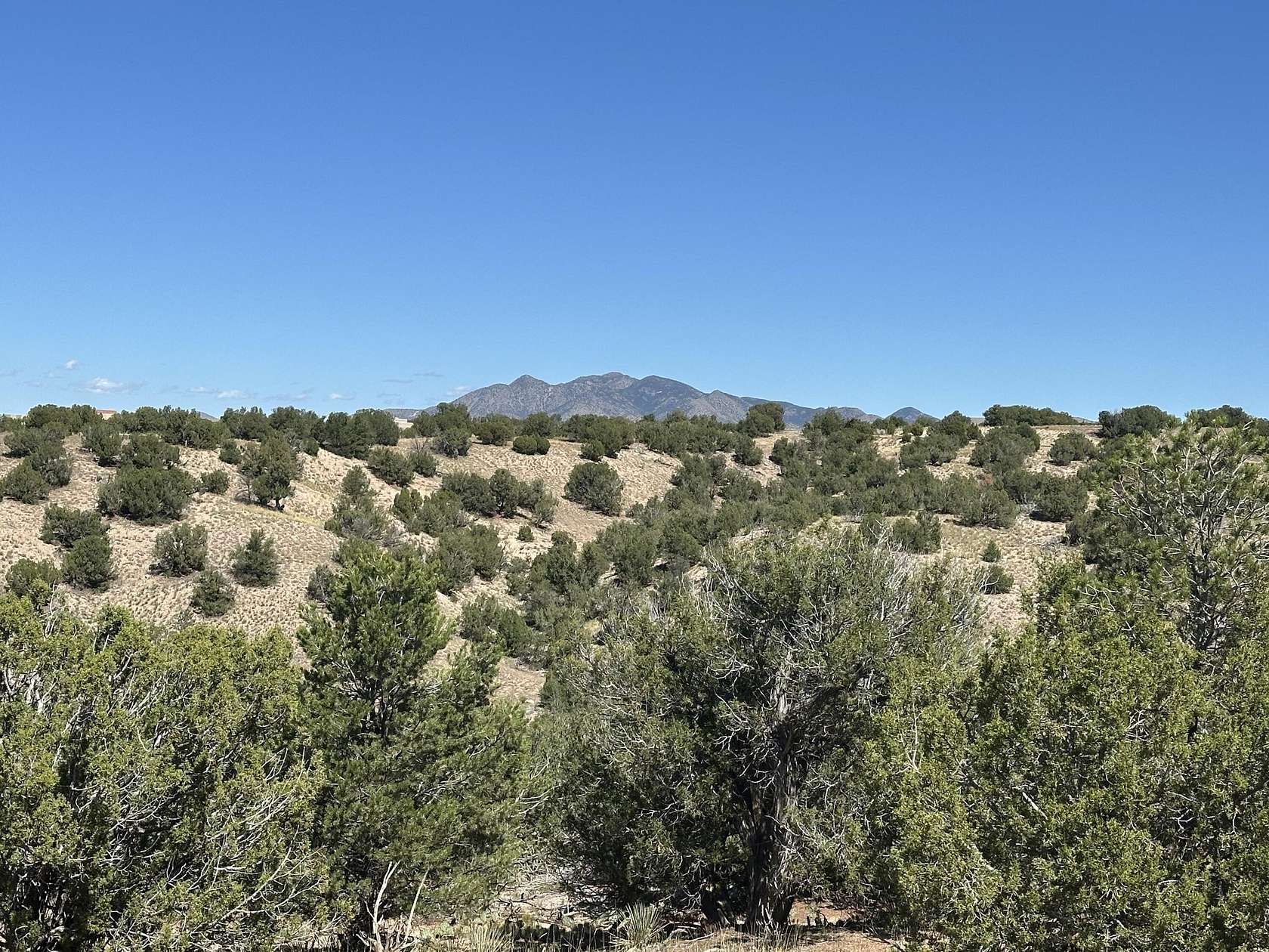 3 Acres of Residential Land for Sale in Sandia Park, New Mexico