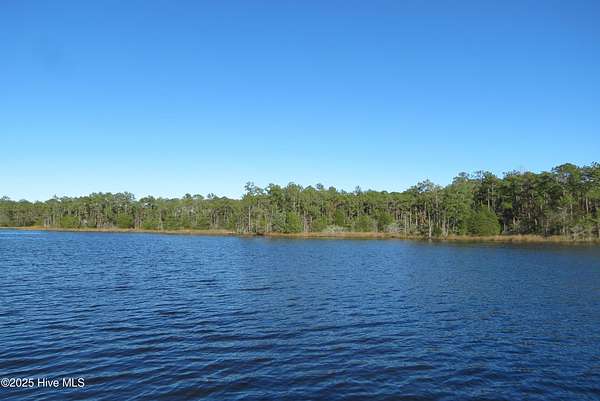 7.55 Acres of Residential Land for Sale in Oriental, North Carolina