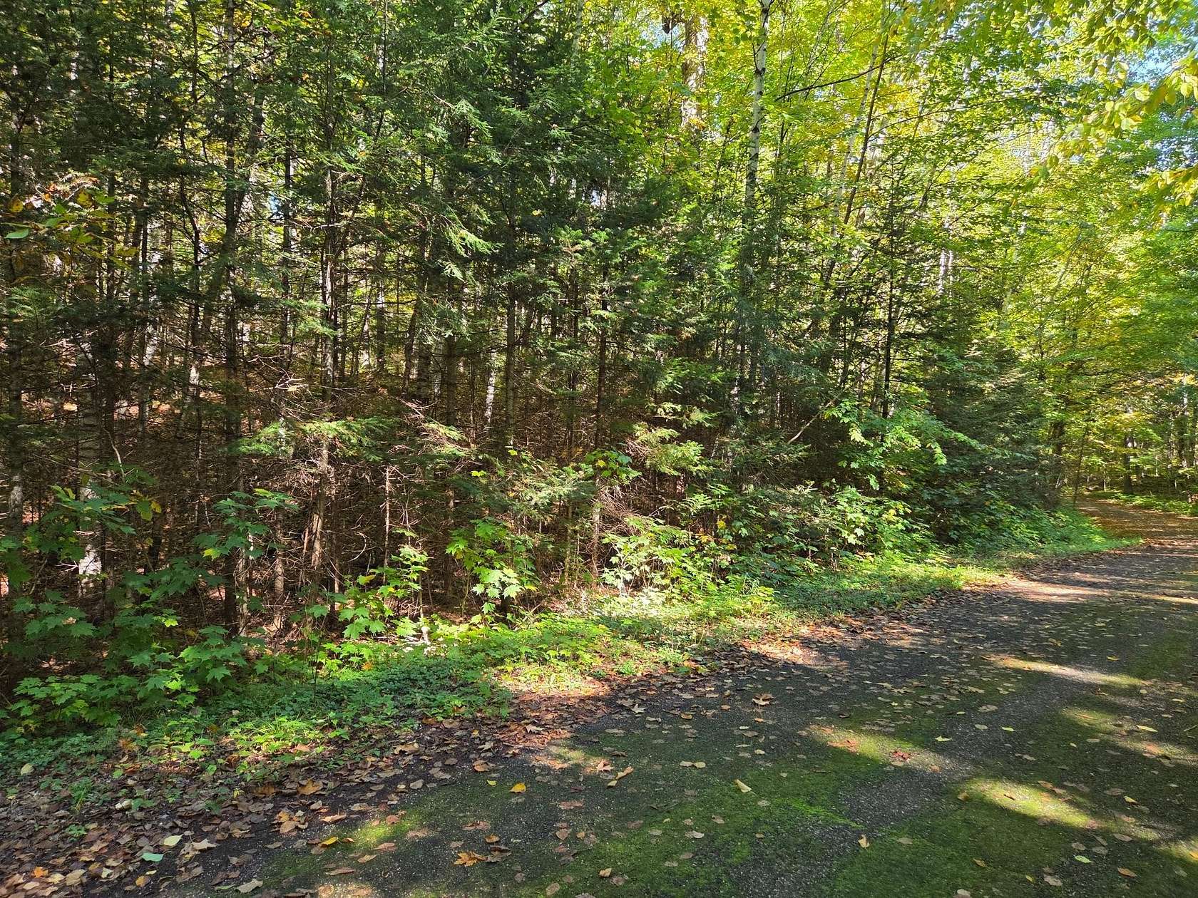 2 Acres of Land for Sale in Presque Isle, Wisconsin