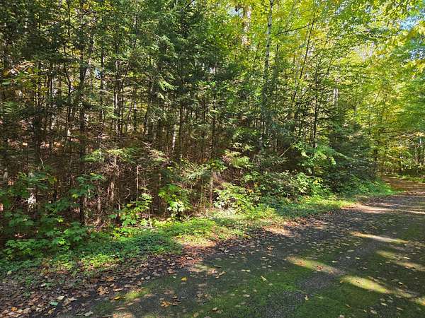 2 Acres of Land for Sale in Presque Isle, Wisconsin