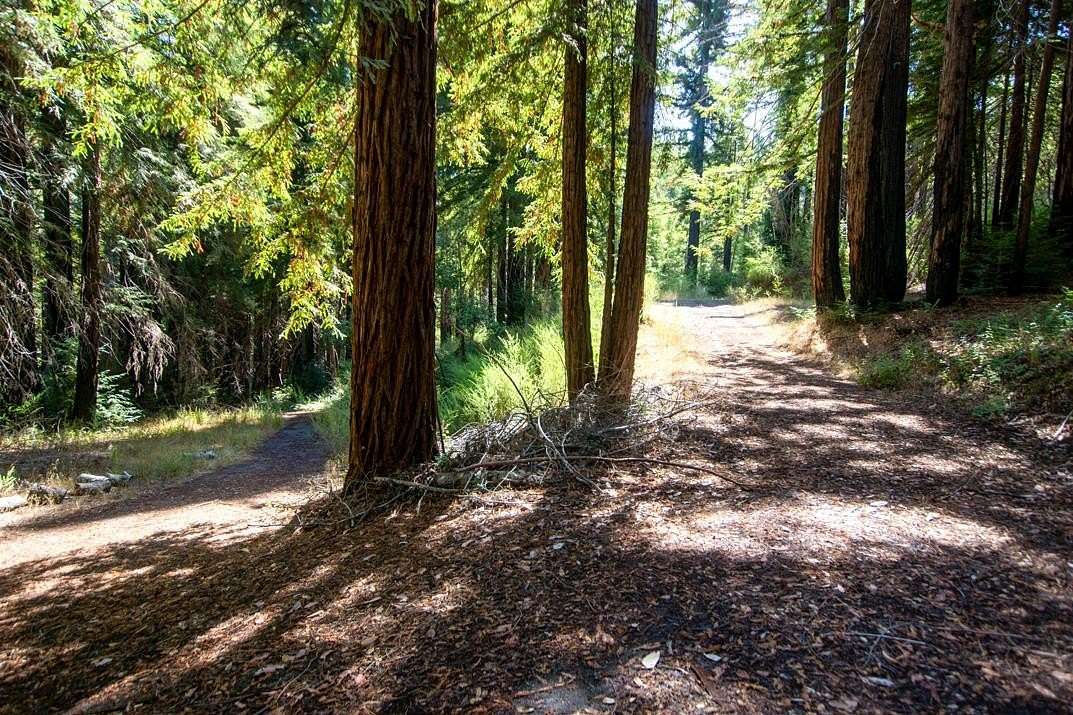 10.3 Acres of Land for Sale in Boulder Creek, California