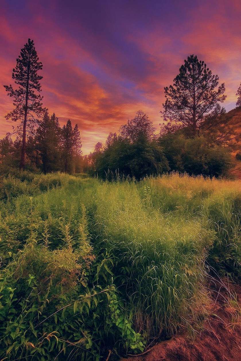 4 Acres of Land for Sale in Lincoln, Washington