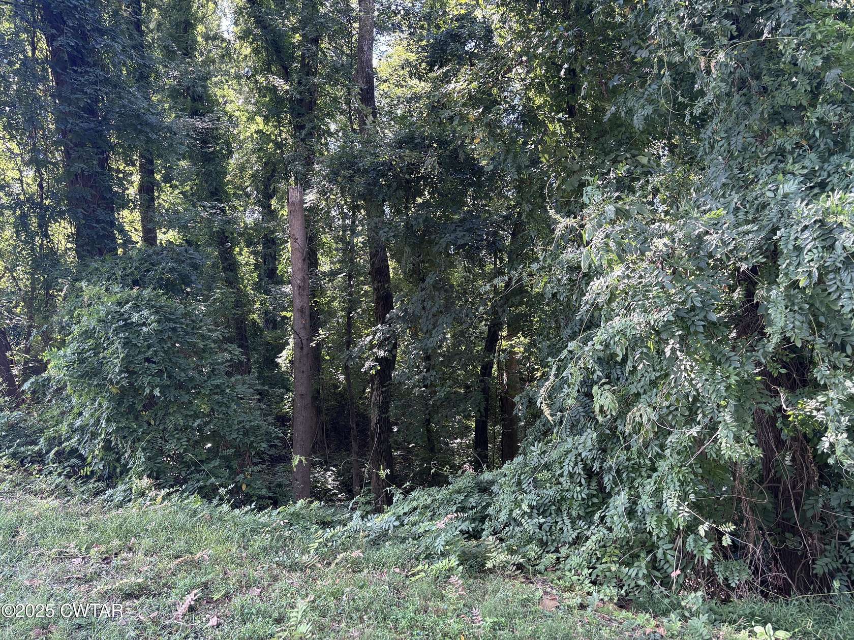 1.4 Acres of Land for Sale in Paris, Tennessee