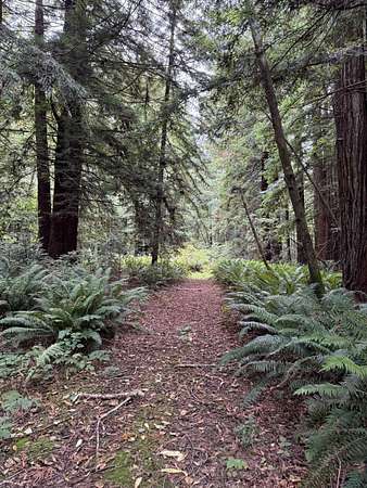 2 Acres of Residential Land for Sale in Crescent City, California