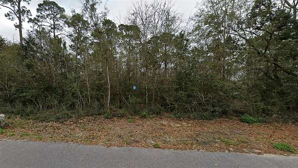 0.46 Acres of Residential Land for Sale in Pace, Florida