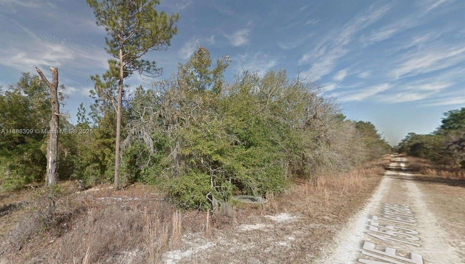 0.23 Acres of Residential Land for Sale in Williston, Florida
