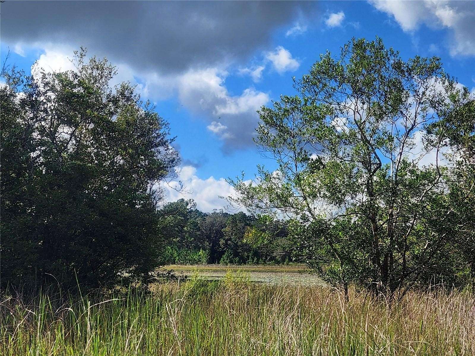 1.84 Acres of Residential Land with Home for Sale in Melrose, Florida