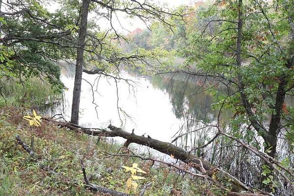 19.5 Acres of Land for Sale in Webster, Wisconsin