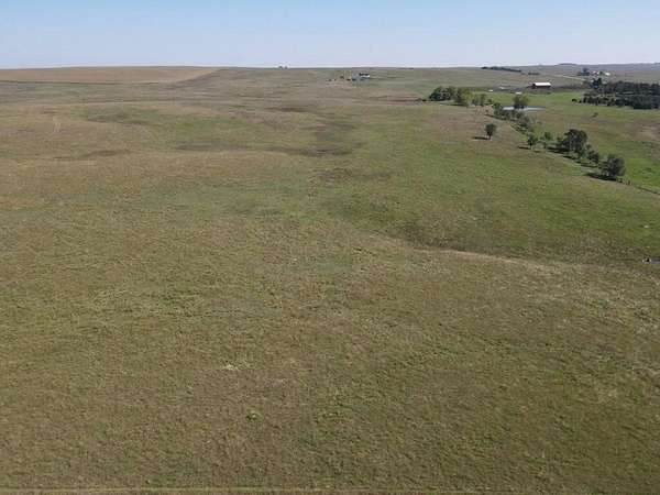 120 Acres of Agricultural Land for Auction in Mobridge, South Dakota