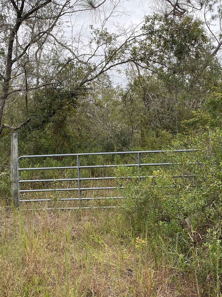 49 Acres of Recreational Land for Sale in Madison, Florida