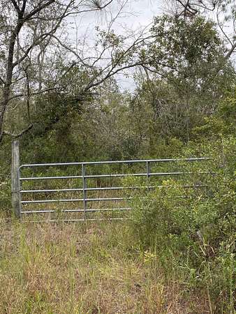 49 Acres of Recreational Land for Sale in Madison, Florida