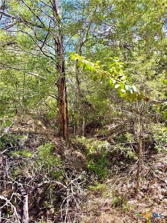 50.6 Acres of Recreational Land for Sale in Rosanky, Texas