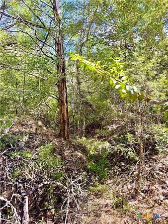 50.6 Acres of Recreational Land for Sale in Rosanky, Texas