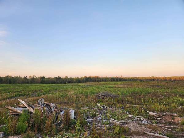 40 Acres of Recreational Land for Sale in Harrison, Michigan