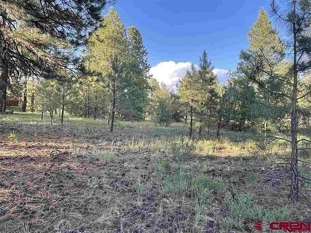 0.35 Acres of Residential Land for Sale in Pagosa Springs, Colorado