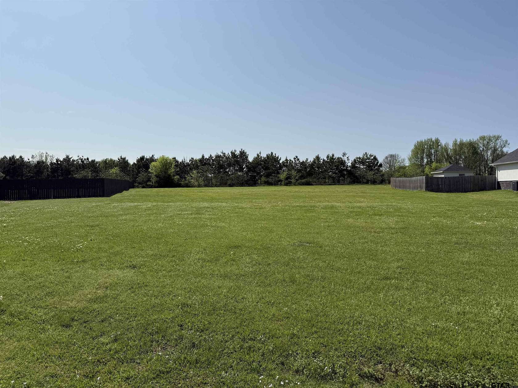 1 Acre of Residential Land for Sale in Mount Pleasant, Texas