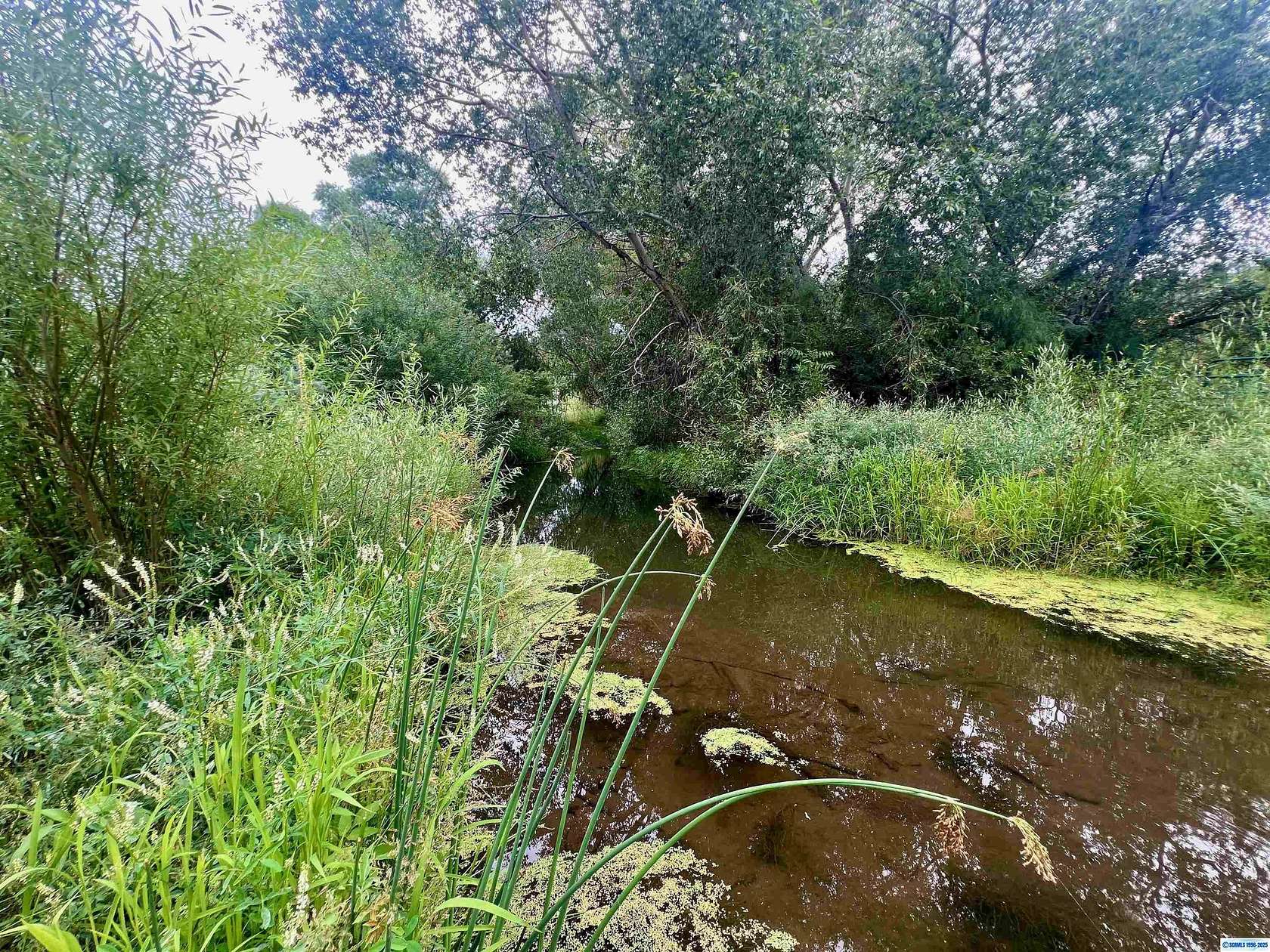 6.26 Acres of Mixed-Use Land for Sale in Mimbres, New Mexico