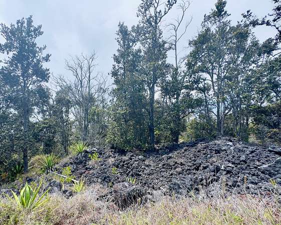 1 Acre of Land for Sale in Hawaiian Ocean View, Hawaii