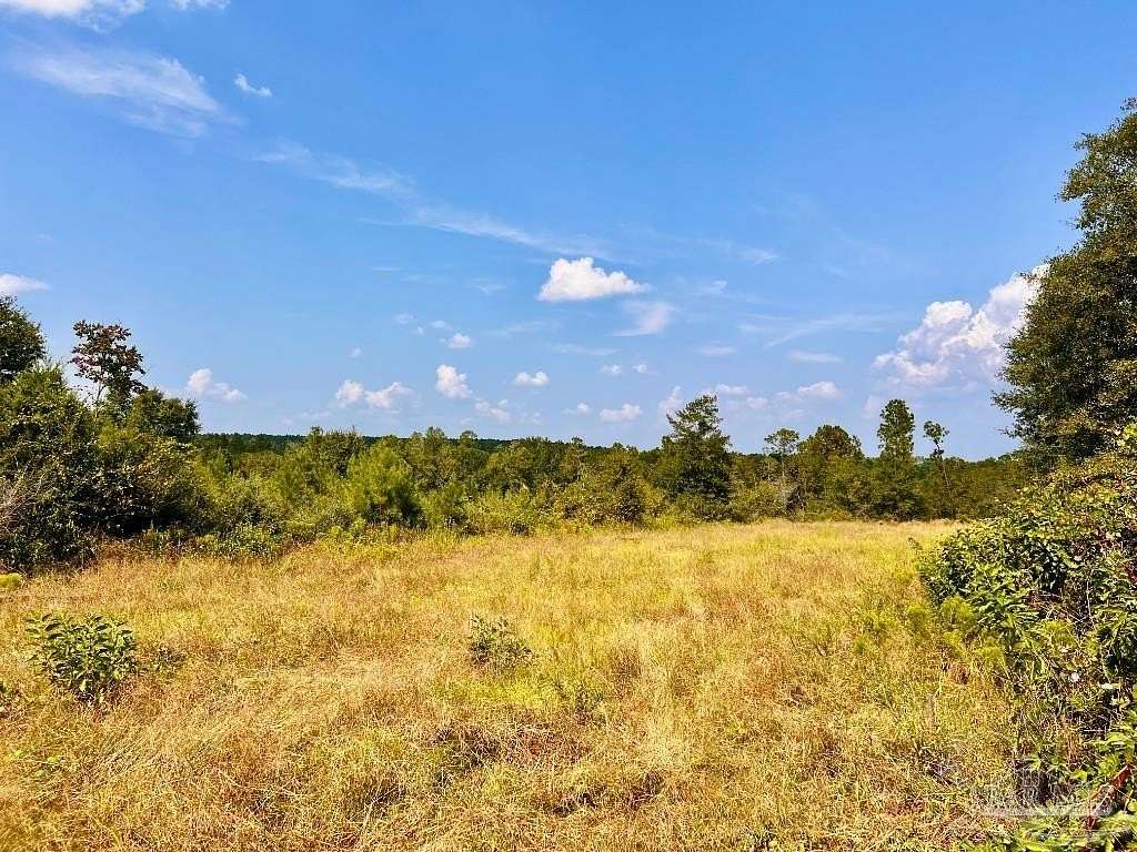 12.2 Acres of Land for Sale in Molino, Florida