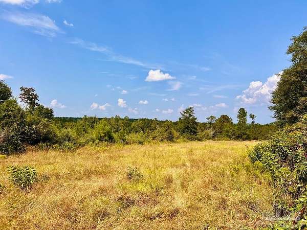 12.2 Acres of Land for Sale in Molino, Florida