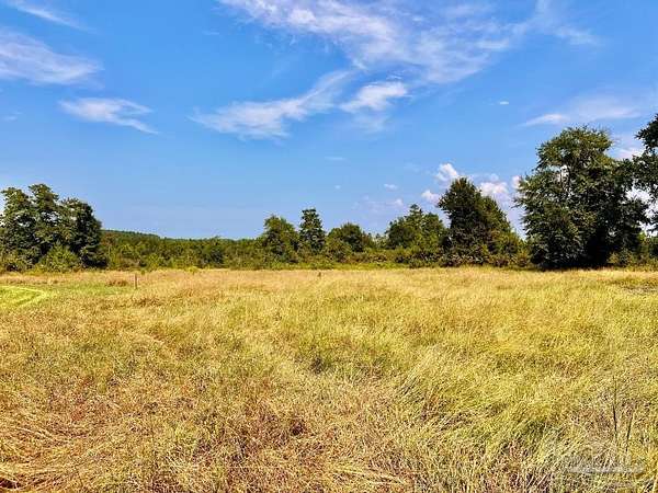 11.3 Acres of Land for Sale in Molino, Florida