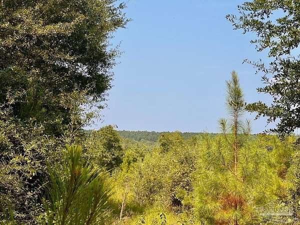 4 Acres of Residential Land for Sale in Molino, Florida