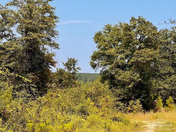 4.19 Acres of Residential Land for Sale in Molino, Florida