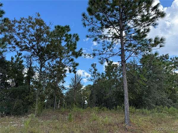 0.27 Acres of Residential Land for Sale in Citrus Springs, Florida