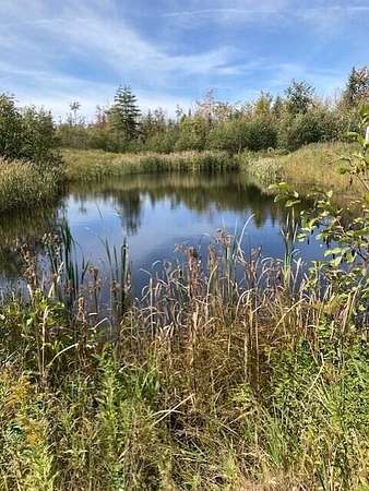 35 Acres of Recreational Land for Sale in Hawks, Michigan