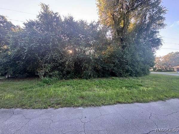 0.44 Acres of Residential Land for Sale in Hernando, Florida