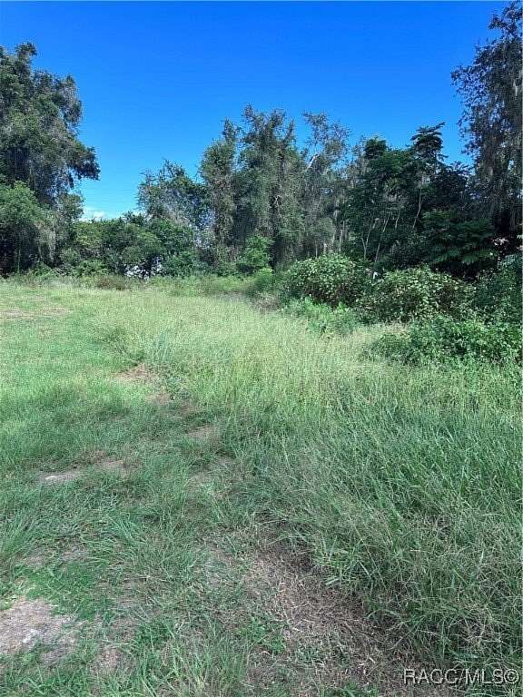 0.41 Acres of Residential Land for Sale in Inverness, Florida
