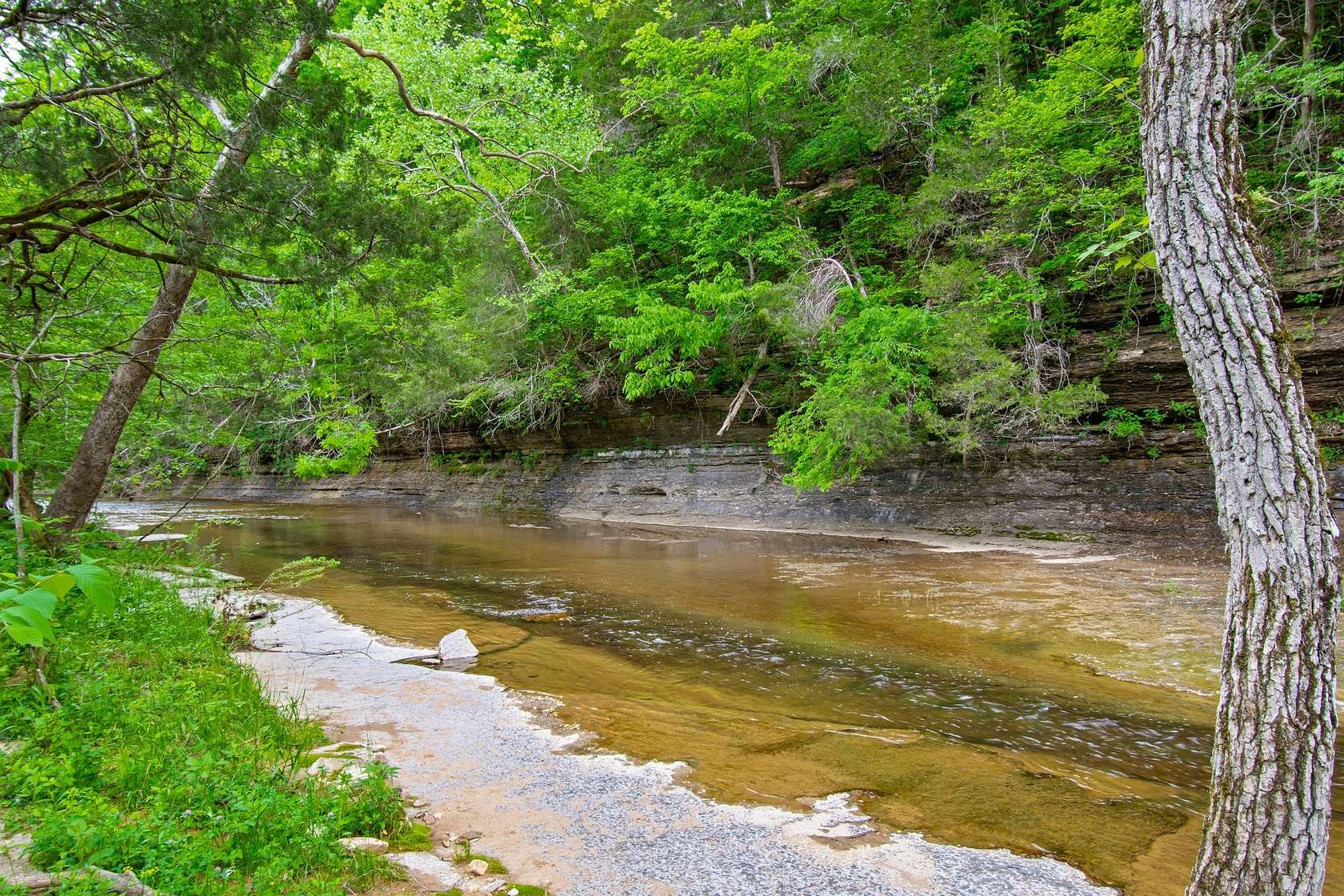 38 Acres of Recreational Land & Farm for Sale in Fairview, Tennessee