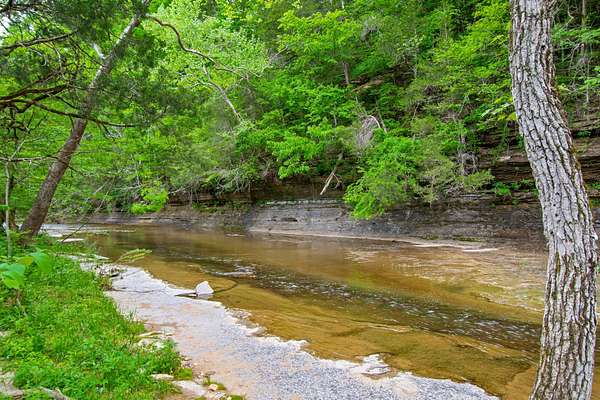 38 Acres of Recreational Land & Farm for Sale in Fairview, Tennessee