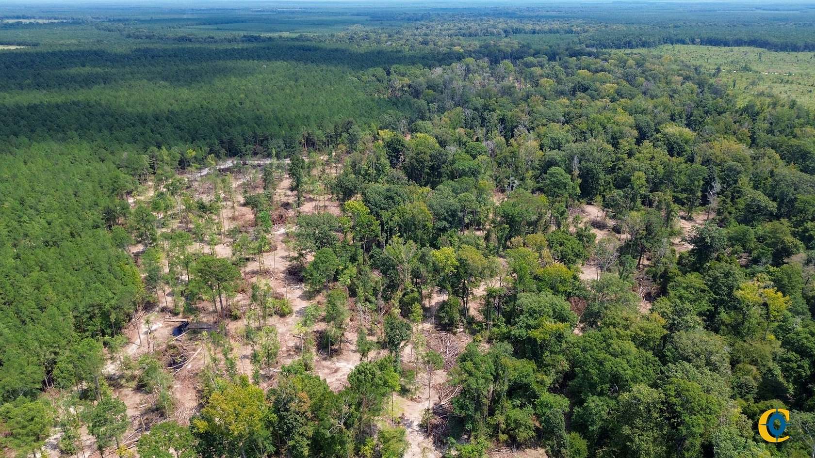 86 Acres of Recreational Land for Sale in Selmer, Tennessee