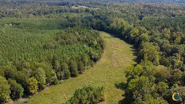 140 Acres of Recreational Land for Sale in Parsons, Tennessee