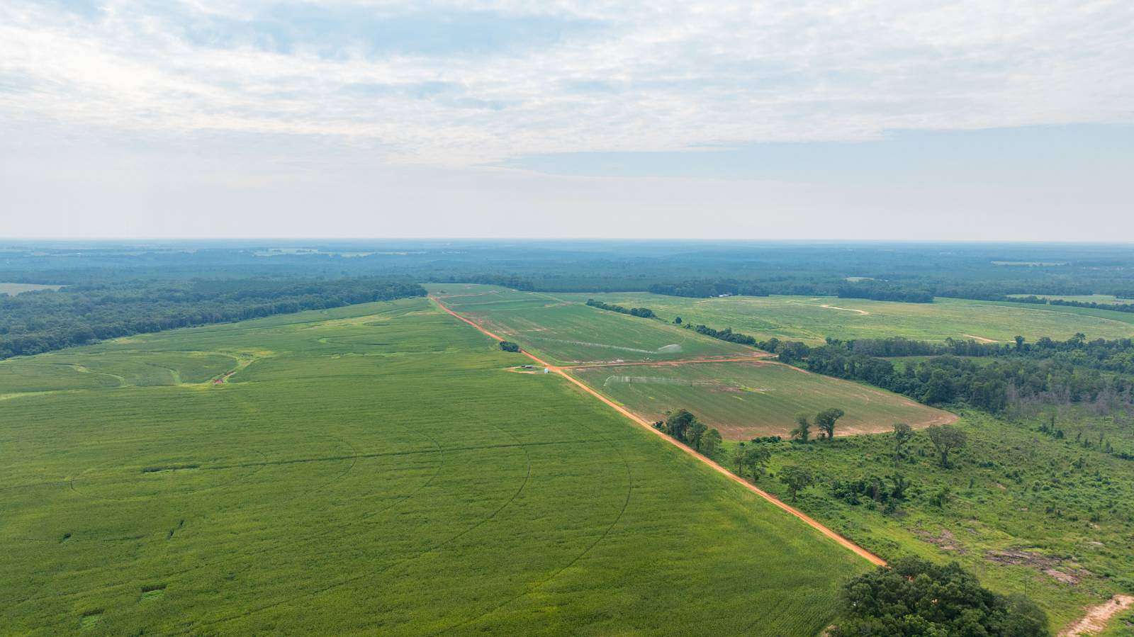 305 Acres of Land for Sale in Cuthbert, Georgia