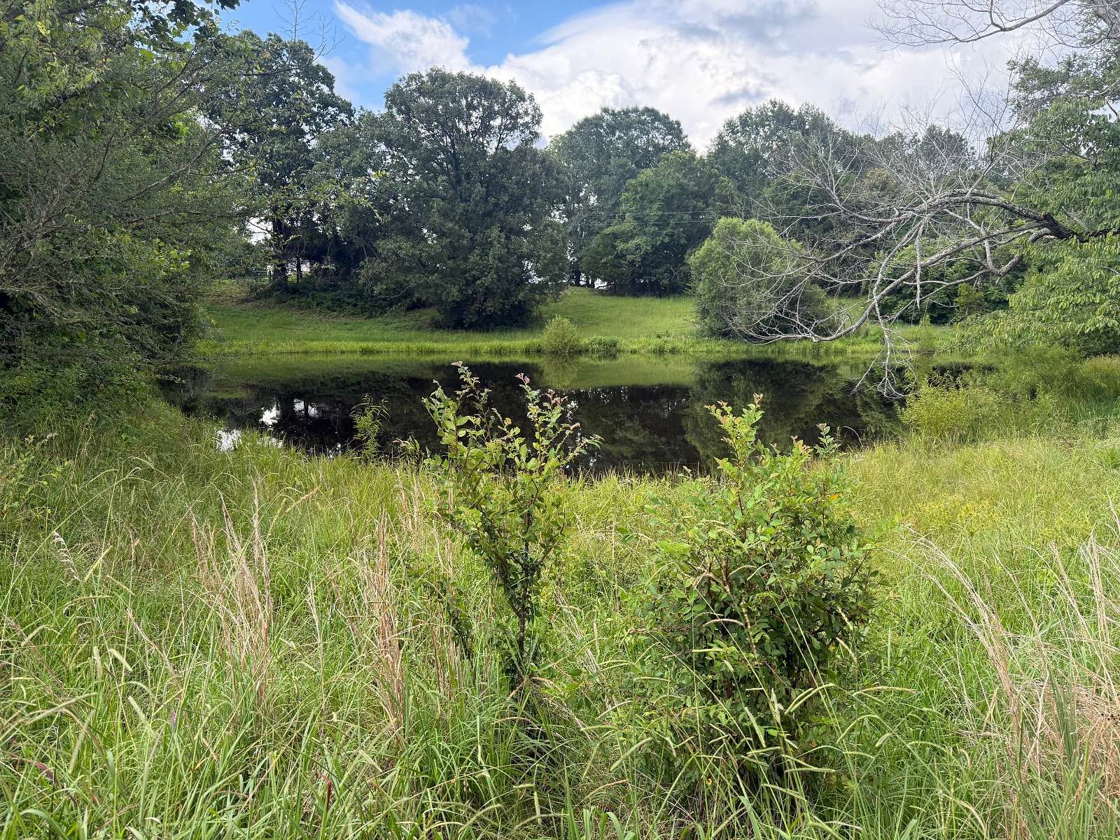 8.5 Acres of Land for Sale in Ashland, Mississippi