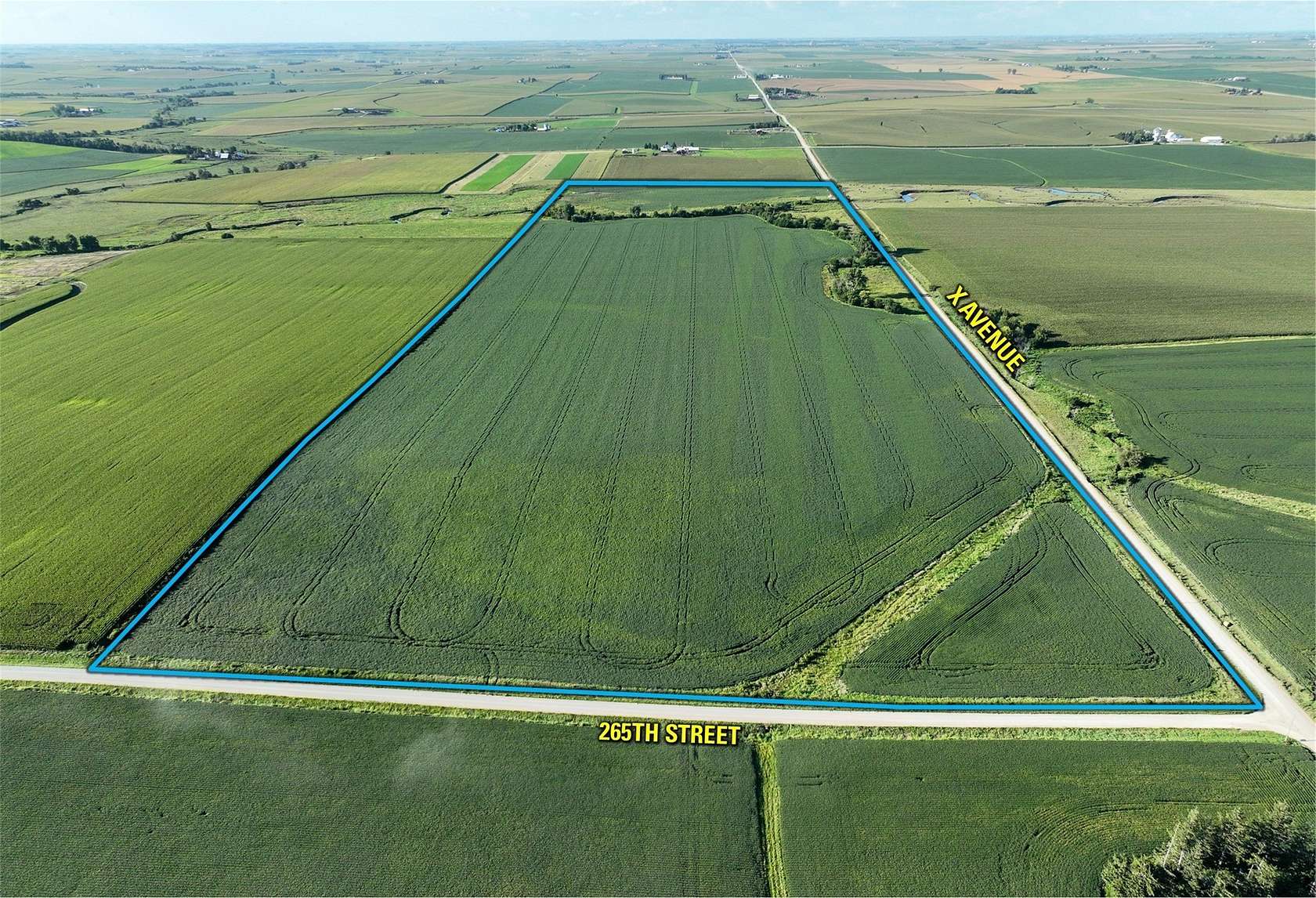 120 Acres of Recreational Land & Farm for Sale in Clutier, Iowa