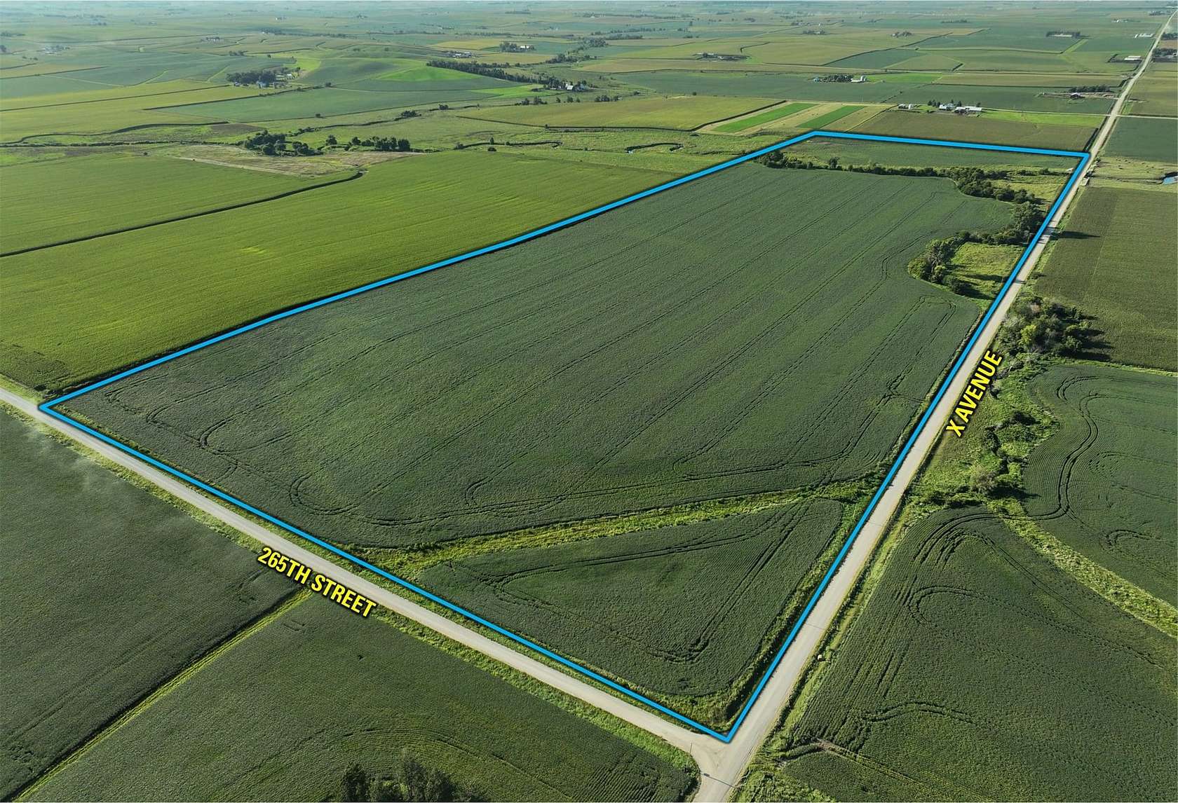 120 Acres of Recreational Land & Farm for Sale in Clutier, Iowa