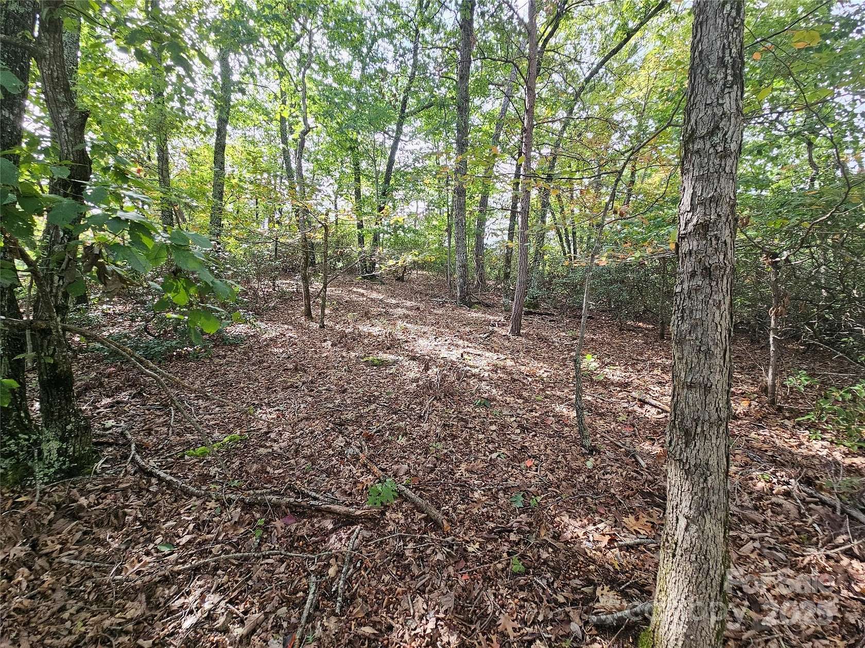 0.95 Acres of Residential Land for Sale in Connelly Springs, North Carolina