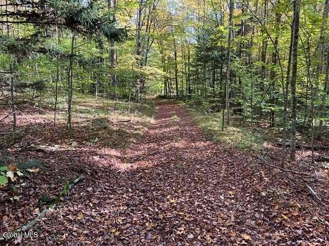 10 Acres of Recreational Land for Sale in Middleburgh, New York
