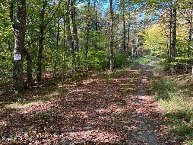 10 Acres of Recreational Land for Sale in Middleburgh, New York