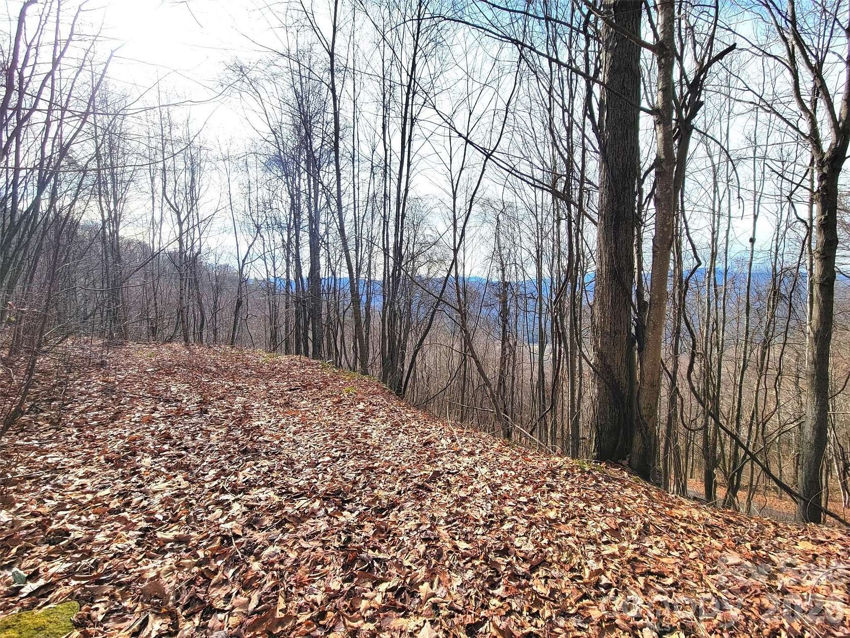 1.22 Acres of Residential Land for Sale in Clyde, North Carolina