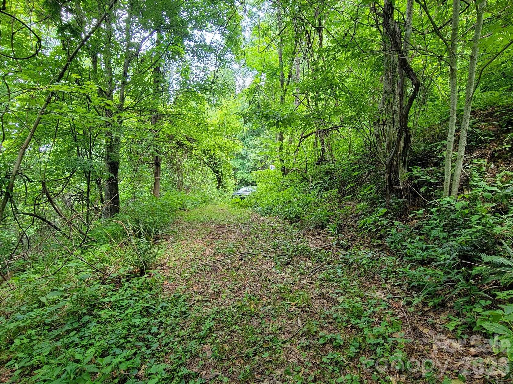 1.22 Acres of Residential Land for Sale in Clyde, North Carolina